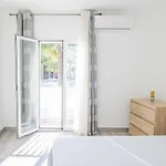Cubo's Luna Town Center Apartment *
